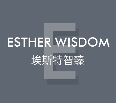 埃斯特智臻